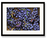 Fruits & Veggies Art - Blueberries