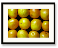 Fruits & Veggies Art - Oranges